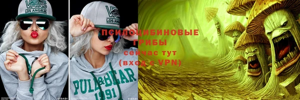 спайс Алзамай