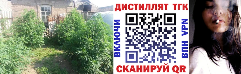 mega сайт  Мирный  ТГК THC oil 